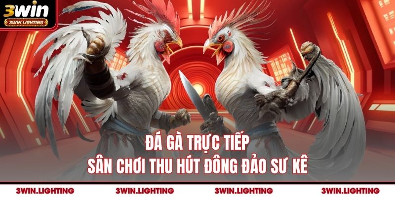 Đá Gà Trực Tiếp Tại 3Win - Sân Chơi Thu Hút Đông Đảo Sư Kê