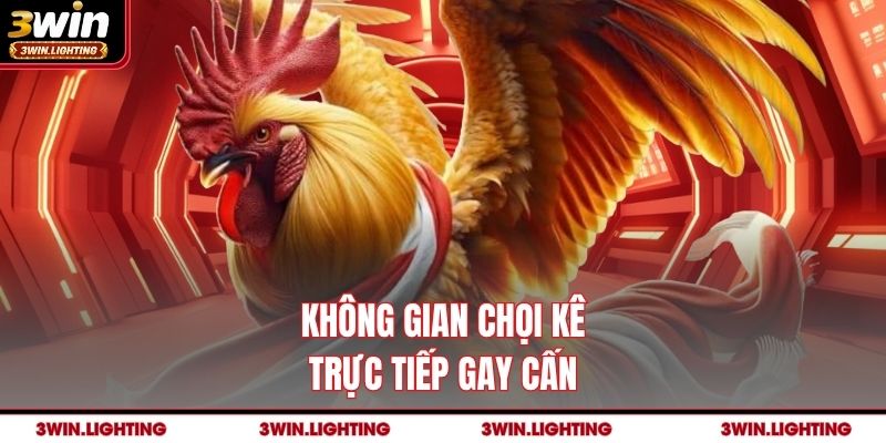 Không gian chọi kê trực tiếp gay cấn